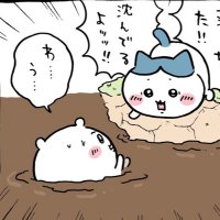 しずく (@drop0415) 's Twitter Profile Photo しずく (@drop0415) 's Twitter Profile Photo