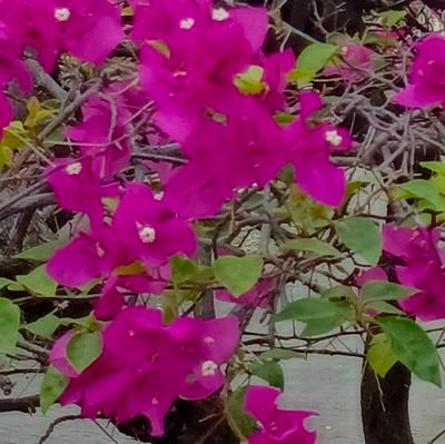 sia2229's profile picture. 