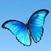 Bluer Skies (@isaacroo3) 's Twitter Profile