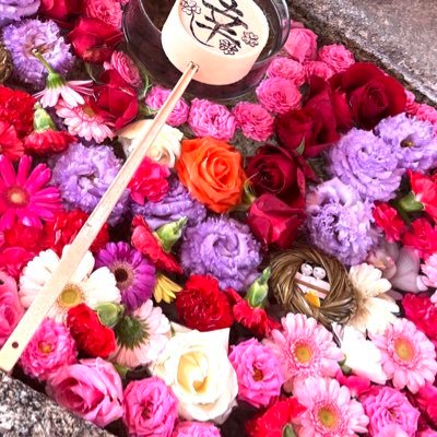 令和より夫婦で神社仏閣巡り⛩️及び御朱印集めを楽しんでます😉同じ趣味の方ぜひ宜しくお願いします🙏お花やスピリチュアル、パワーストーン等好きです✨️参拝させて頂いた神社お寺様の境内や御朱印等載せてます😌☘️平和な日々を願うのみ🕊相互フォローOK🙆♀️副業や投資😖エロ垢大迷惑❌即通報致します!💢天安門…😳