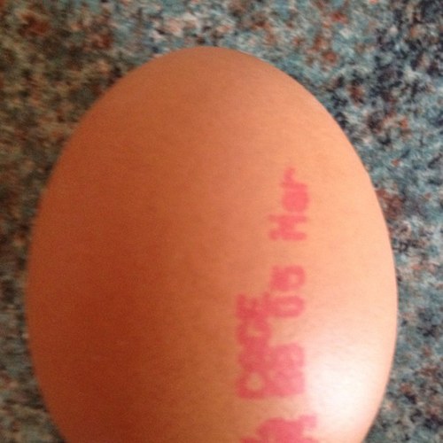 bensonr86's profile picture. 