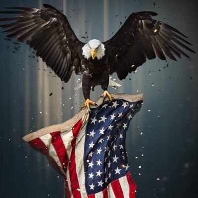 irlunatic's profile picture. 