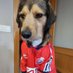 ENZO PERRETE 🐶 (@enzo_perrete) Twitter profile photo ENZO PERRETE 🐶 (@enzo_perrete) Twitter profile photo