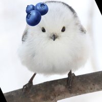 ぶるーべりー (@takumiyu29) 's Twitter Profile