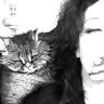 Suzeme's profile picture. Grandkids. Books. Movies. Sometimes the garden. Love the beach. Atheist. Left leaning. Yes.  🏳️‍🌈🏳️‍⚧️🐯 @suzeme.bsky.social