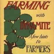 ale_wyfe's profile picture. 