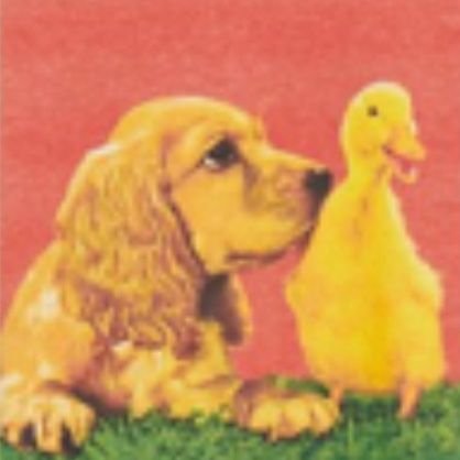 DogWifDuck $DWFD coming soon to AVAX 🔺️Bonding in Progress on Bellum 🔺️Welcome to DogWifDuck where every token is a story, and every story is a quack of fun