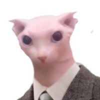 Frix on Bluesky (@florrflen) 's Twitter Profile