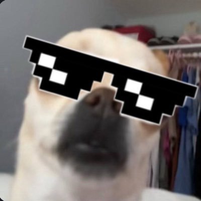 leo_rod239's profile picture. 