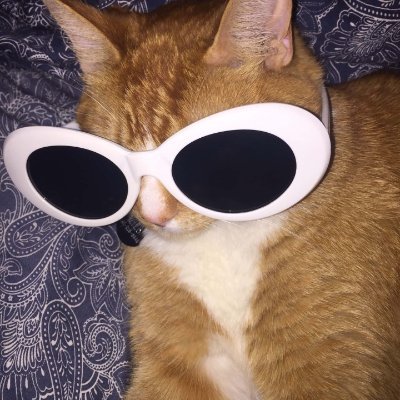 Bi-women who love all things film and theater. I had an account but it got closed so I'm starting new.