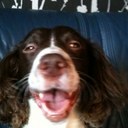 rachel yardley - @rachellyardley - Twitter