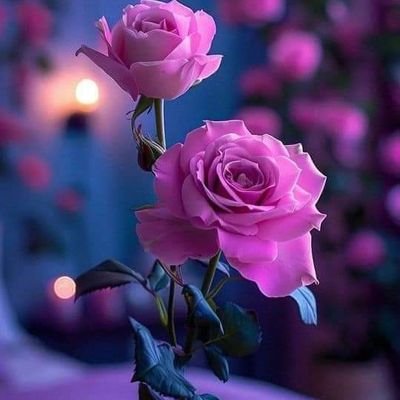 ZZain77069's profile picture. 