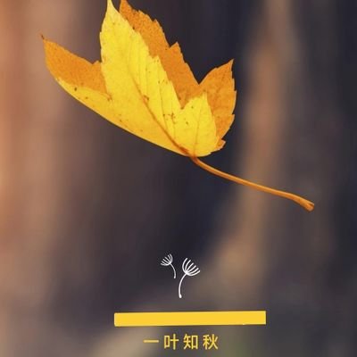 lijf1978's profile picture. 我是狂热的加密货币爱好者，我喜欢加密货币，并热衷于传播加密货币的价值，同时也喜欢与来自世界各地的加密货币爱好者探讨与交流，如果你也是一名加密货币爱好者，非常期待与你相遇。