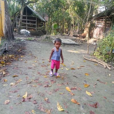 Ipvanishapp's profile picture. Make money to online
Link in bio.