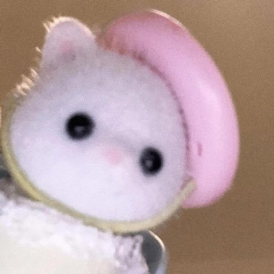 collect6817's profile picture. 