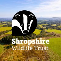 Shropshire Wildlife Trust (@shropswildlife) 's Twitter Profile Photo Shropshire Wildlife Trust (@shropswildlife) 's Twitter Profile Photo