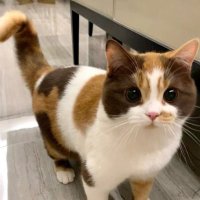 Judy 249 (@joody_sud) 's Twitter Profile