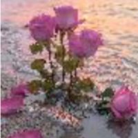 لمياء عادل (@lmya_adl21007) 's Twitter Profile Photo لمياء عادل (@lmya_adl21007) 's Twitter Profile Photo