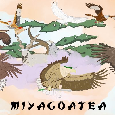 PhD student in raptor cognition and welfare at MECADEV (CNRS/MNHN)
Scientist and Martial artists.
Characters loosely based on #ninjago and #cobrakai
she/her