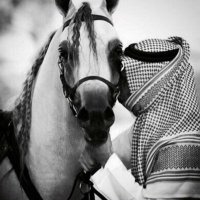 ` à⁷ťáĵƙ ` (@m_h_r_o_o_s) 's Twitter Profile Photo ` à⁷ťáĵƙ ` (@m_h_r_o_o_s) 's Twitter Profile Photo