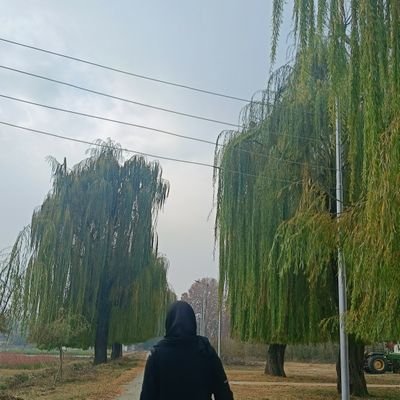 PhD Scholar| Entomology Enthusiast🪲|Skuast-K|
A quiet soul finding peace in her own little world, where solitude feels like home and simplicity speaks volumes.
