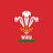 Welsh Rugby Union 🏴