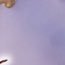 20↑  閲覧