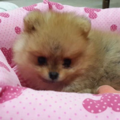 09Mingie_2006's profile picture. 