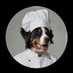 Oh,ein Koch (@olli311268) Twitter profile photo Oh,ein Koch (@olli311268) Twitter profile photo