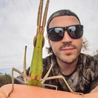 Sefa KAYA (@sefakayamacro) Twitter profile photo