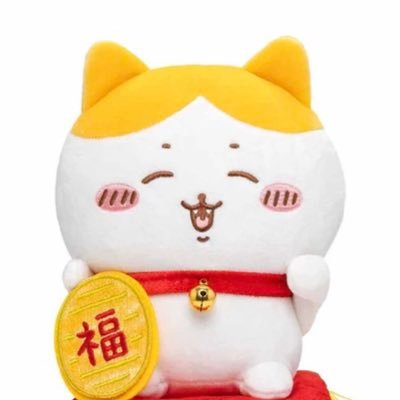 ハチワレ殿堂入り💞ハチワレのちょこっと出てるキバが好きすぎる😍無言フォローお許し下さい🥺ちいかわ好きと繋がりたい😘呼びタメ⭕️晴れの国在住☀️