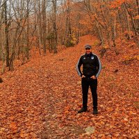 Javier (@javierfbeltrant) 's Twitter Profile