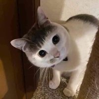 A.M (@ma94140000) 's Twitter Profile Photo A.M (@ma94140000) 's Twitter Profile Photo