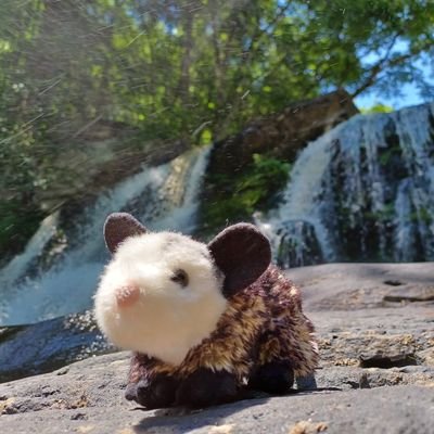 Fwipinationさんのプロフィール画像