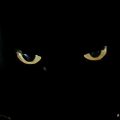 dcwest_'s profile picture. Working to get to 6 figures in crypto this year.