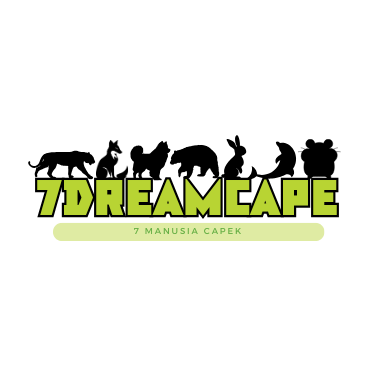 7D-CAPE Profile