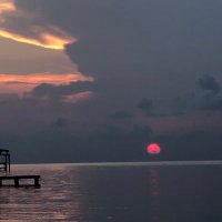 marcie mitchell (@marciemitchell2) 's Twitter Profile