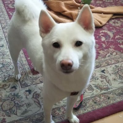 SWanda688's profile picture. 