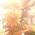 たきむ@取引垢 (@tradetakim) Twitter profile photo たきむ@取引垢 (@tradetakim) Twitter profile photo