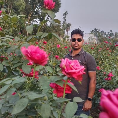 Imran344239's profile picture. 