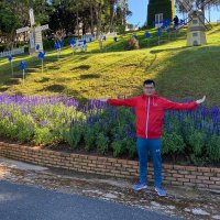 Charlie Nguyen ꧁IP꧂(✸,✸) (@kiennguyen182) 's Twitter Profile