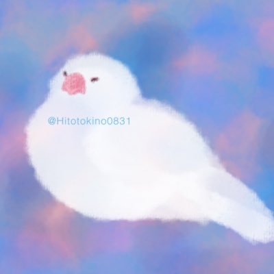 ひとと きのさんのプロフィール画像