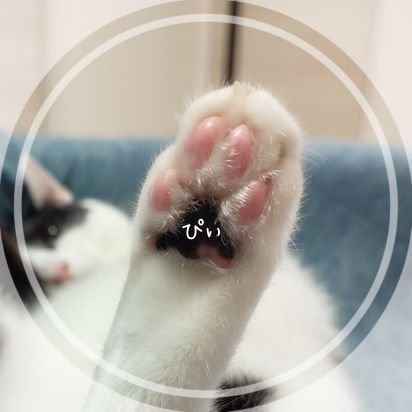 mbm_0207's profile picture. 『美しい彼』からBL大海原を漂い、只今ピラティス（月8）と蒸篭（ほぼ毎日）な日々😂
別垢@jam_picnic