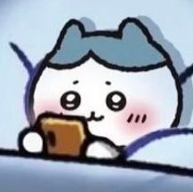 HSR 🦚🧂 🔁❌(=🎲🗿=Aventio=砂理=어벤레이=어벤시오)………🦚左, 🛁右. 좌우 고정. 지뢰 없음. 최애공러………👉BL垢(연경원) @mong_mong_hsr2 ………👉헤테로&GL垢 @mong_mong_zzz