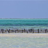 Sübi Sazon (@subiface) 's Twitter Profile Photo