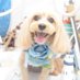 う~さん。 (@wooosan78) Twitter profile photo う~さん。 (@wooosan78) Twitter profile photo