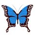 THE X VOICE #FBPE #GTTO #BSKY (@twittafreek) Twitter profile photo THE X VOICE #FBPE #GTTO #BSKY (@twittafreek) Twitter profile photo