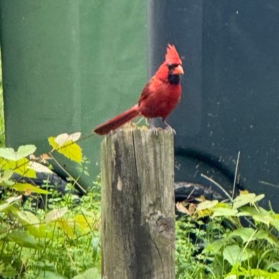 evets87's profile picture. 