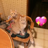 Barbeydoll65 (@barbeydoll65) 's Twitter Profile Photo Barbeydoll65 (@barbeydoll65) 's Twitter Profile Photo