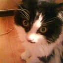 Marina Nyberg - @marnybe - Twitter